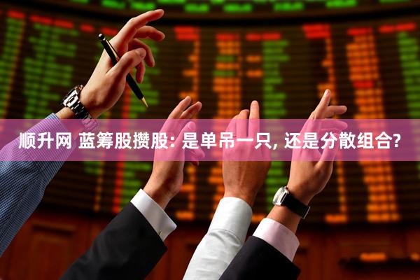 顺升网 蓝筹股攒股: 是单吊一只, 还是分散组合?
